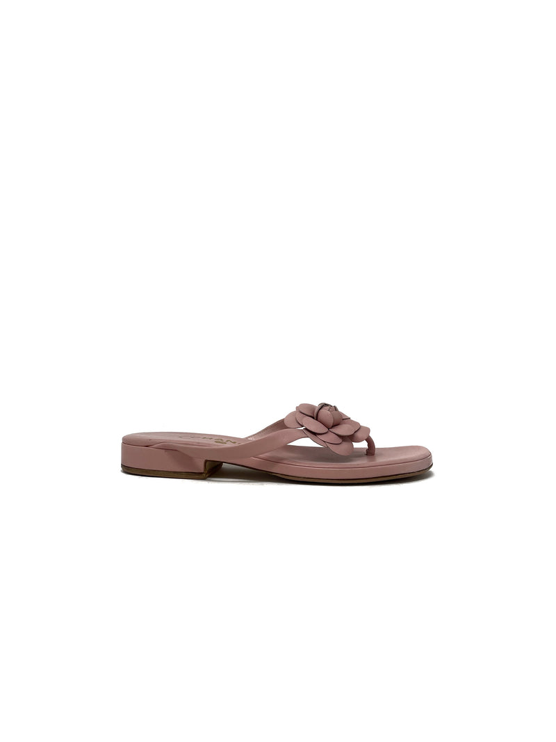 Chanel W Shoe Size 39.5 Sandal – The Little Bird